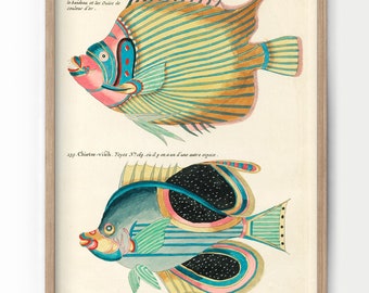 Vintage Fish Print, Neutral Coastal Wall Art