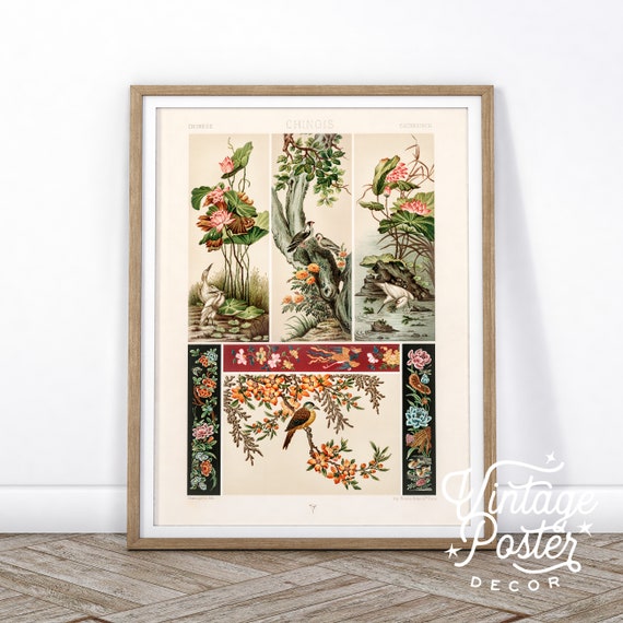 Chinese Wall Art, Chinese Pattern, Albert Racinet, Vintage Bird Poster, Living Wall Art 20