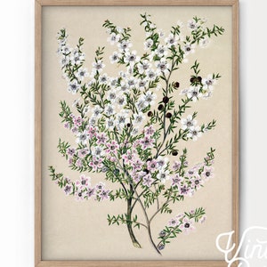 Floral Art Print, Flower Wall Art, Boho Art, Vintage Floral, Museum Poster, Women Office, Girls Bedroom, Nursery Floral, Daughter Room Decor