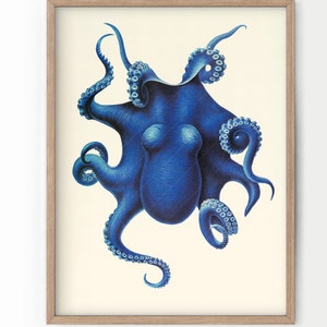 May include: A framed illustration of a blue octopus with eight tentacles. The octopus is depicted in a detailed, realistic style, with its tentacles curled and extended in various directions. The background is a simple white.