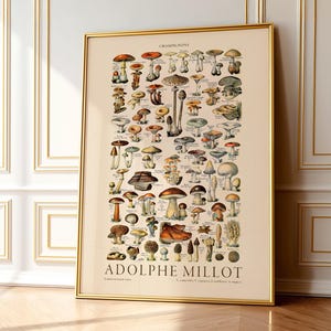 Adolphe Millot Mushroom Botanical Print, Vintage Kitchen Decor 1