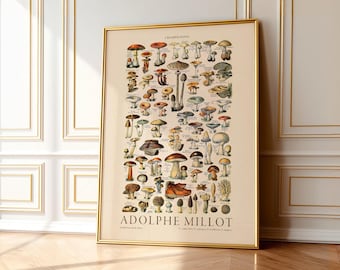Adolphe Millot Mushroom Botanical Print, Vintage Kitchen Decor 1