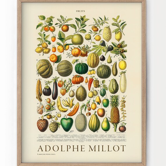 Vintage Millot Fruit & Vegetable Prints – Set Of Retro Food Category Posters