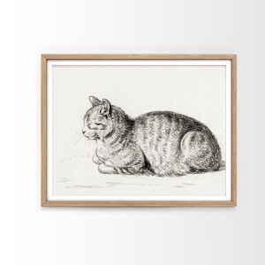 May include: A black and white pencil drawing of a cat sitting on a white background. The cat is looking to the left and has its eyes closed.