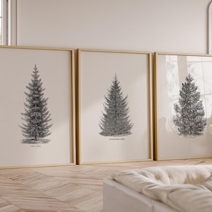 Set of 3 Forest Print, Norway Spruce Tree, Christmas Wall Decor, Vintage Winter Poster , Pine Tree, Vintage Nature Art, Nordic Forest