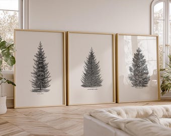 Set of 3 Forest Print, Norway Spruce Tree, Christmas Wall Decor, Vintage Winter Poster , Pine Tree, Vintage Nature Art, Nordic Forest