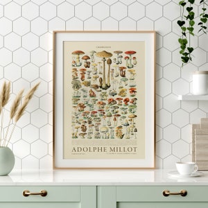 Impression de champignons, affiche de champignons, impression de cuisine vintage, affiche d'Adolphe Millot, art mural nourriture, botanique vintage 2