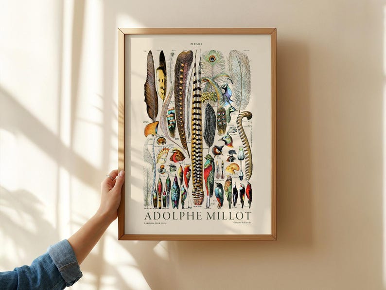 Plumes Feathers, Vintage Birds Art, Adolphe Millot, Neutral Poster, Botanical Prints, Aesthetic Room Decor, Wedding Gift, Nature Wall Art image 3