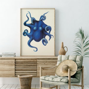 May include: A vintage illustration of a blue octopus with eight tentacles. The octopus is depicted in a detailed and realistic style, with its tentacles curled and extended in various directions. The illustration is set against a white background.