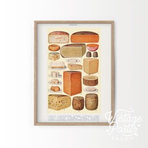 Food wall art, Cheese diagram print, Kitchen decor, Antique cheese, Victorian Art, Mrs Beeton's book, Gift for a Foodie, High Quality 17