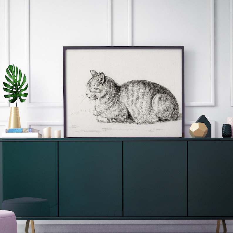 May include: A black and white pencil drawing of a cat lying down. The cat is looking to the left and has its eyes closed. The drawing is framed in a black frame and is hanging on a wall.