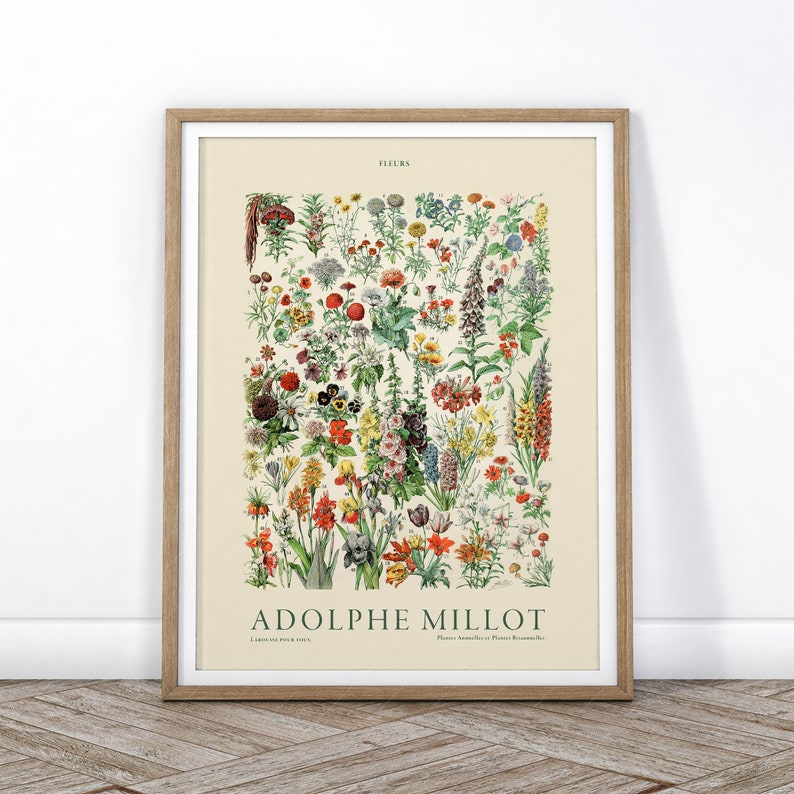 Flower Print, Adolphe Millot Poster, Vintage Flower Poster, Botanical Wall Art, Vintage Plants, Gift Idea image 4