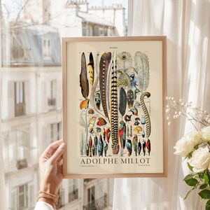 Plumes Feathers, Vintage Birds Art, Adolphe Millot, Neutral Poster, Botanical Prints, Aesthetic Room Decor, Wedding Gift, Nature Wall Art image 8