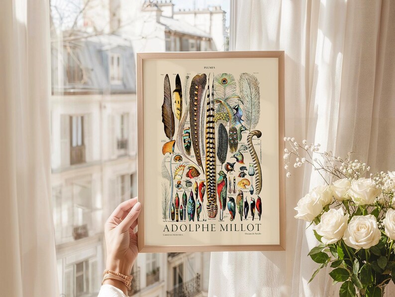 Plumes Feathers, Vintage Birds Art, Adolphe Millot, Neutral Poster, Botanical Prints, Aesthetic Room Decor, Wedding Gift, Nature Wall Art image 8