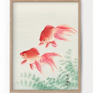 Goldfish Gift - 60+ Gift Ideas for 2024