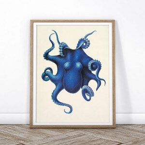 May include: A vintage illustration of a blue octopus with eight tentacles. The octopus is depicted in a detailed and realistic style, with its tentacles curled and extended in various directions.