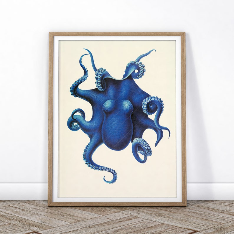 May include: A vintage illustration of a blue octopus with eight tentacles. The octopus is depicted in a detailed and realistic style, with its tentacles curled and extended in various directions.