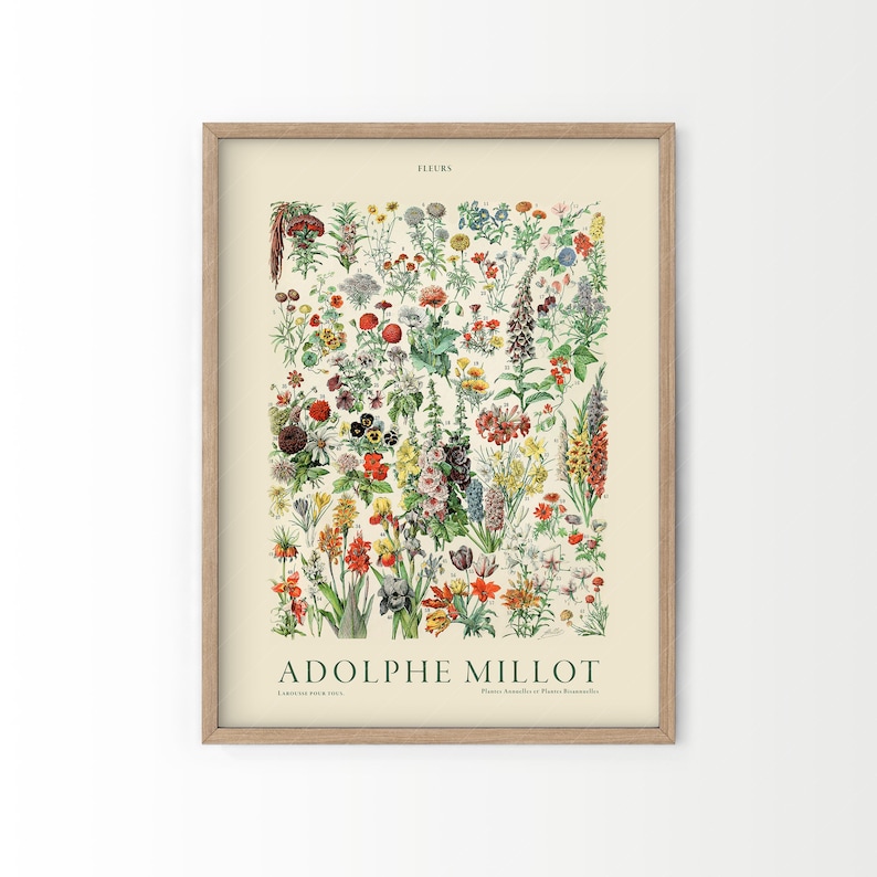 Flower Print, Adolphe Millot Poster, Vintage Flower Poster, Botanical Wall Art, Vintage Plants, Gift Idea 