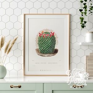 Kaktus Druck Wüstenpflanze Boho Wandkunst Vintage botanische Tochter Geschenk Sukkulenten Wanddekor Jugendzimmer Wandkunst Geschenk für Mutter Grüne Farbe