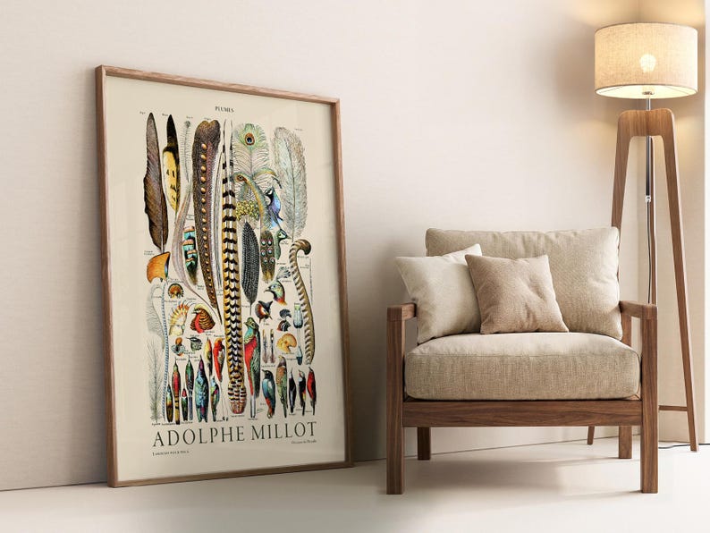 Plumes Feathers, Vintage Birds Art, Adolphe Millot, Neutral Poster, Botanical Prints, Aesthetic Room Decor, Wedding Gift, Nature Wall Art image 2