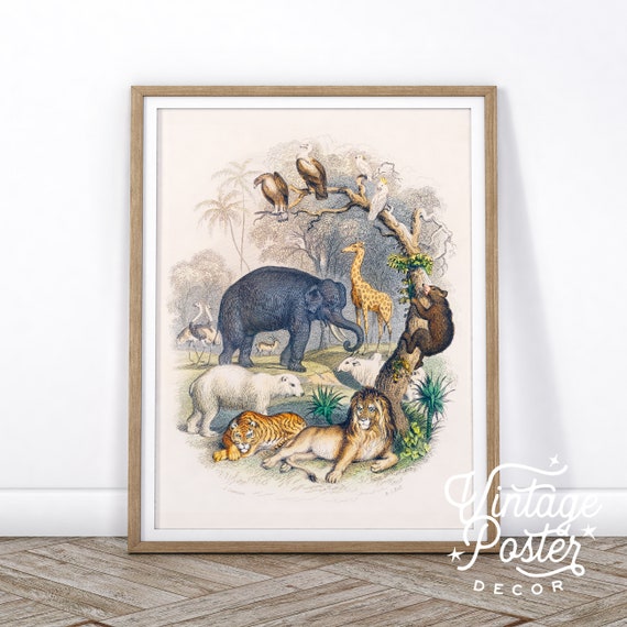 Vintage Safari Print Animals Art Decor Nursery Animals - Etsy