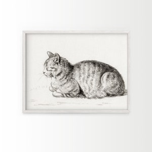 May include: A black and white pencil drawing of a cat lying down and looking to the left.
