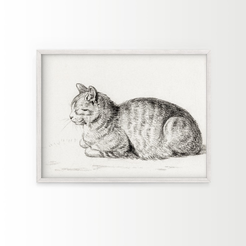 May include: A black and white pencil drawing of a cat lying down and looking to the left.