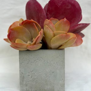 Square Planter / Modern Planter / Unique Planter / Concrete Planter / Cement Planter / Concret Pot / Concrete Decor / Planter / Contemporary