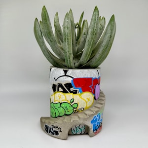 Può includere: Una piccola pianta succulenta in un vaso di cemento con un design a graffiti. Il vaso ha la forma di una scala con una parte superiore circolare. I graffiti sono di vari colori, tra cui rosso, blu, verde, giallo e nero.