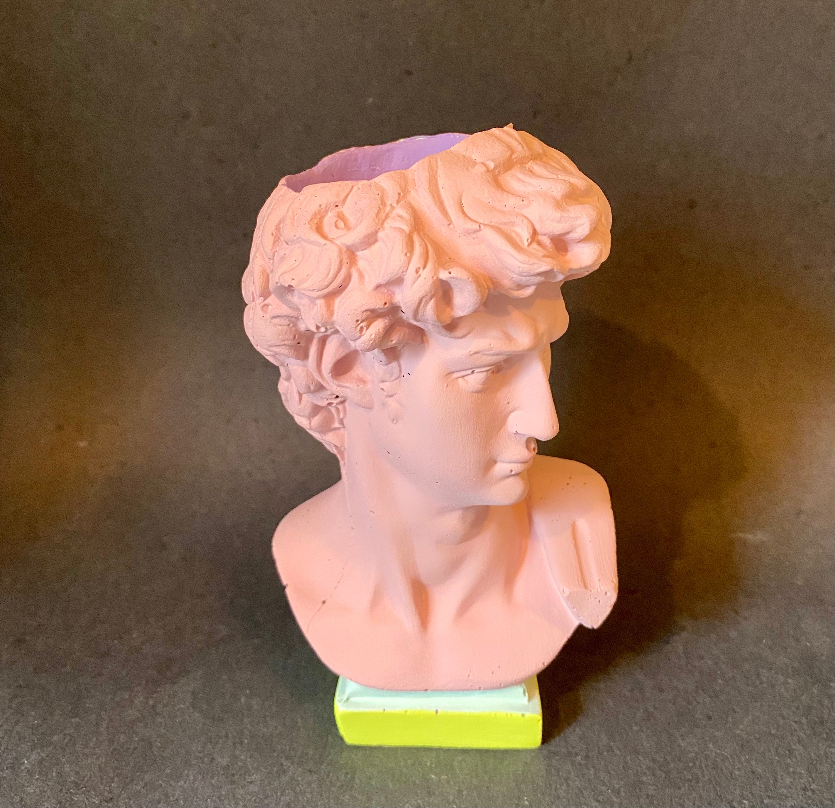 Statue of David / Pop Art Statue / Pop Art / Unique Planter / Etsy