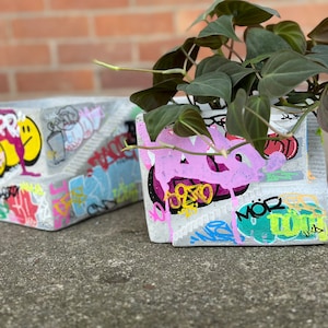 Puede incluir: Dos macetas de hormigón con diseño de escalera, adornadas con coloridos grafitis. Una maceta contiene una planta colgante con hojas de color verde oscuro. Las macetas son grises con diseños vibrantes en rosa, amarillo, azul y verde pintados con aerosol.