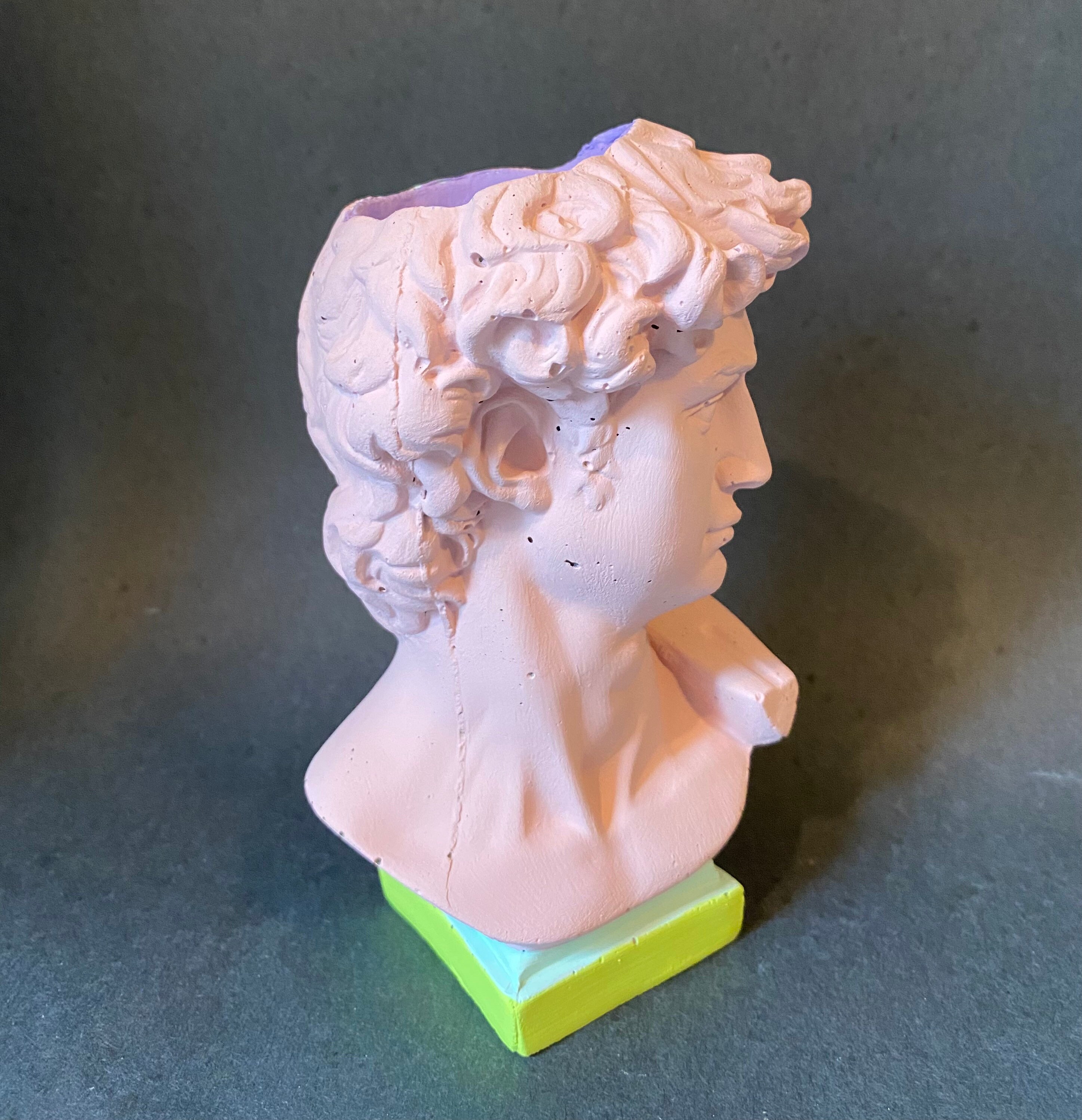 Statue of David / Pop Art Statue / Pop Art / Unique Planter / Etsy