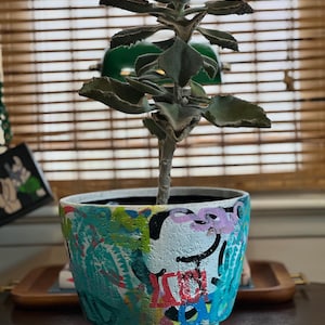 Può includere: Una pianta succulenta con foglie carnose di colore verde-grigio cresce in un vaso di ceramica bianco con vernice astratta colorata e accenti neri. Il vaso ha tre gambe corte.