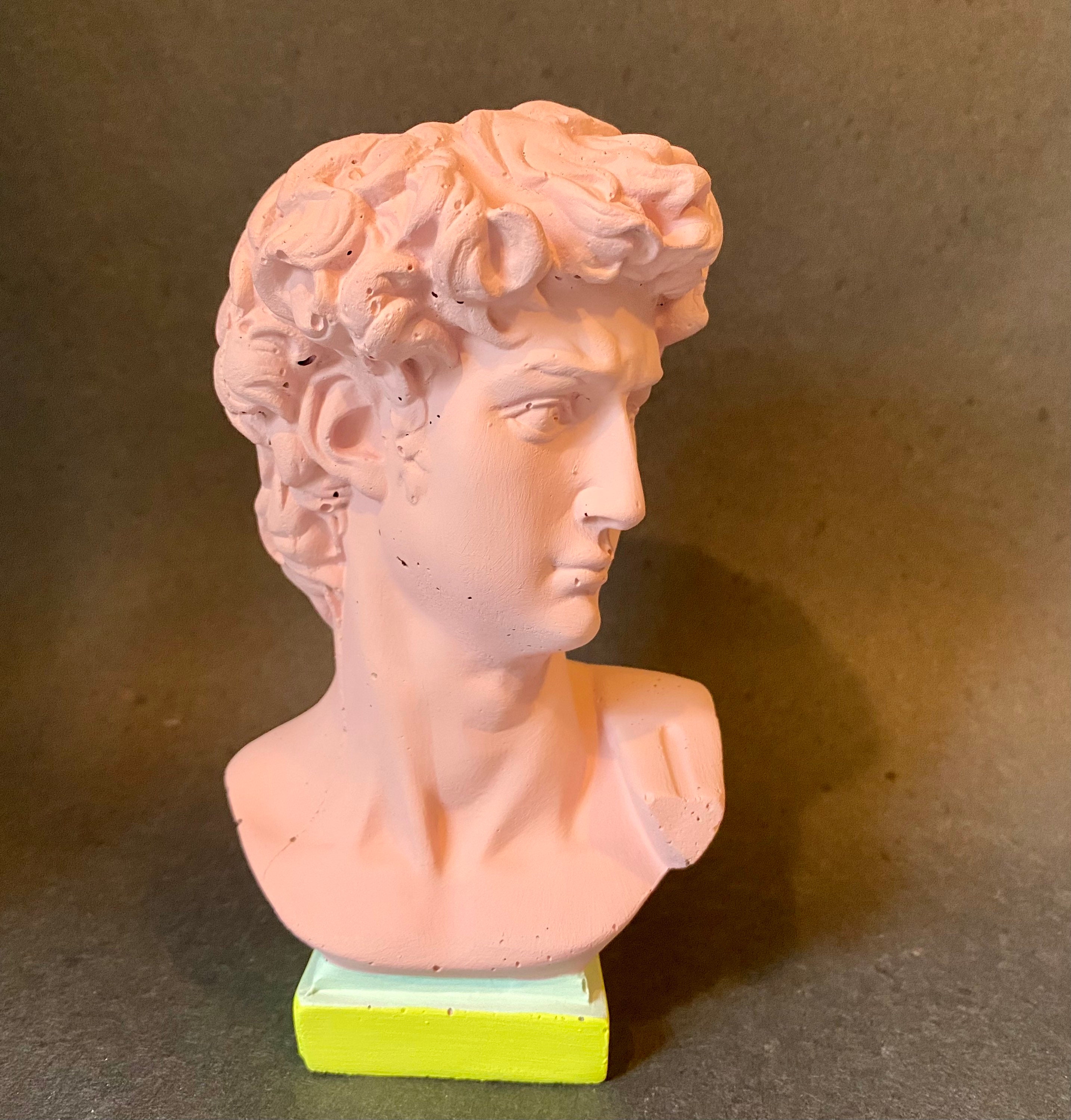 Statue of David / Pop Art Statue / Pop Art / Unique Planter / Etsy