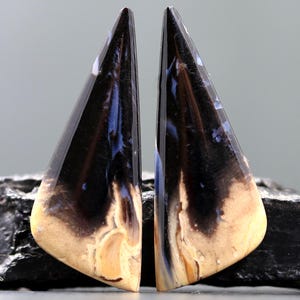May include: Two polished, triangular gemstones. Each stone features a striking contrast of black, blue, and tan hues. The stones are cut into a symmetrical shape, with a glossy, reflective surface. The overall aesthetic is natural and elegant.