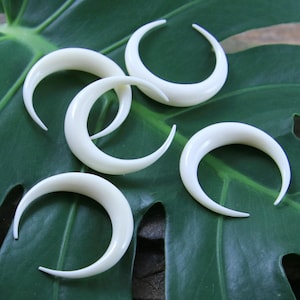 Double Horn Crescent Hand Carved Bone Cabochon 30mm