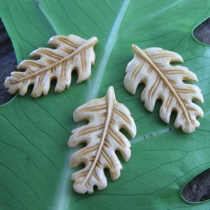 Hand Carved Bone Monstera Leaf Cabochon Antique Look