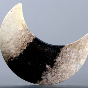Petrified Palm Root Cabochon Crescent Moon Bohemian Jewelry Supply
