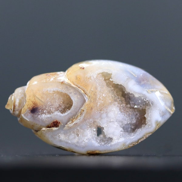 Fossilized Snail with Druzy Cabochon Raw Gemstone Sparkly Crystals, Collectible Shell Drusy