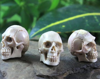 Realistische schedelcabochon - Gesneden hertenhoornsculptuur - Gotisch sieradenontwerp