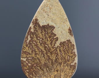 Dendritisk kalksten Cabochon Tyskland Psilomelane Stone