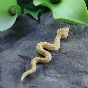 Hand geschnitzte Knochen-Schlange Anhänger Serpent Halskette Herzstück Seite gebohrt Antik-Look