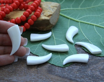 May include: A set of eight white, tooth-shaped beads, some of which are held in a hand. The beads are arranged on a green leaf and a wooden surface.