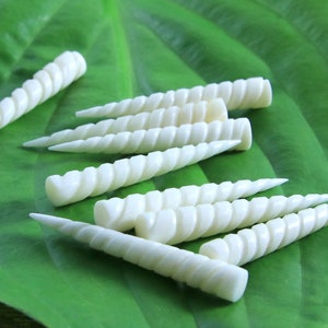 Amuleto de cuerno de unicornio, cabujón de colmillo tallado en hueso