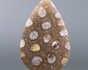 Pode incluir: Uma pedra polida em forma de lágrima com fundo marrom e padrões de coral fossilizado branco.