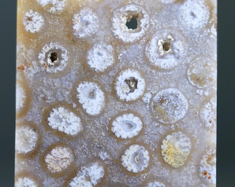 Pode incluir: Ladrilho de pedra quadrado com um padrão único de formações circulares brancas, bege e cinzentas. A pedra tem uma superfície polida e uma estética natural e terrosa. O design do ladrilho assemelha-se a uma coleção de organismos fossilizados.