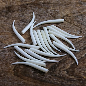 Pode incluir: Uma coleção de objetos brancos sujos, curvos e pontiagudos, possivelmente dentes ou garras, espalhados sobre uma superfície de madeira. Os objetos variam em tamanho e forma, com uma aparência lisa e polida. O fundo é um grão de madeira castanho quente.