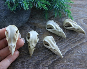 Raven Skull Hand Carved Deer Antler Bird Head Carving 50mm