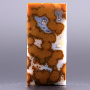 Ocean Jasper Cabochon Natural Healing Crystals