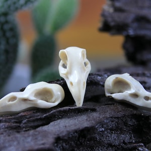 Hand Carved Deer Antler Raven Skull Bird Carving 30mm